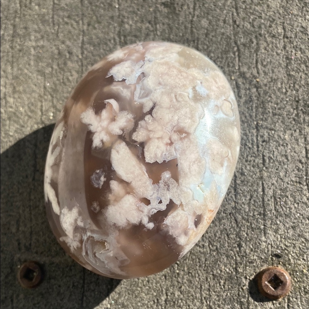 Flower Agate Palmstone